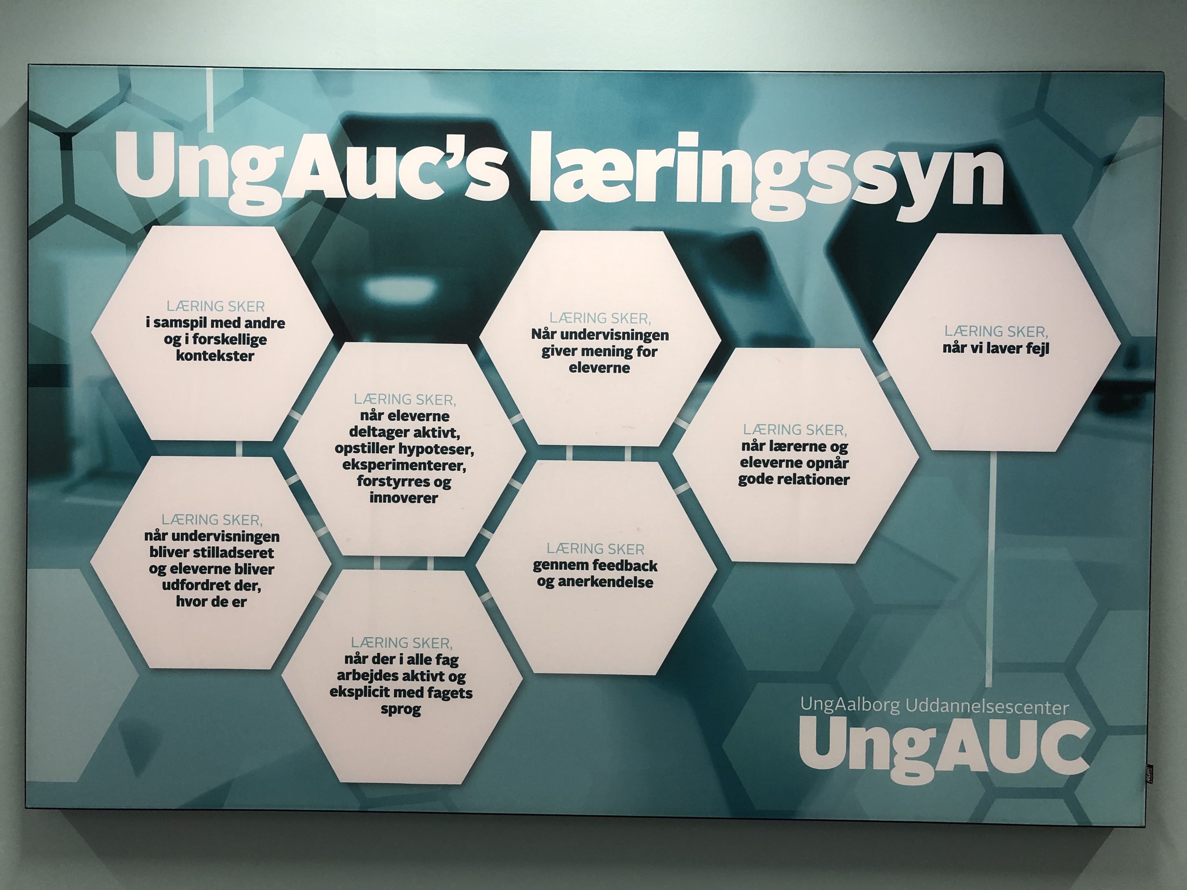 Billede af UngAUC's læringssyn