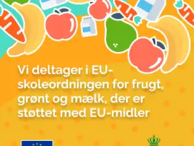 skoleordning